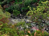 (81) Gole dell'Alcantara.JPG